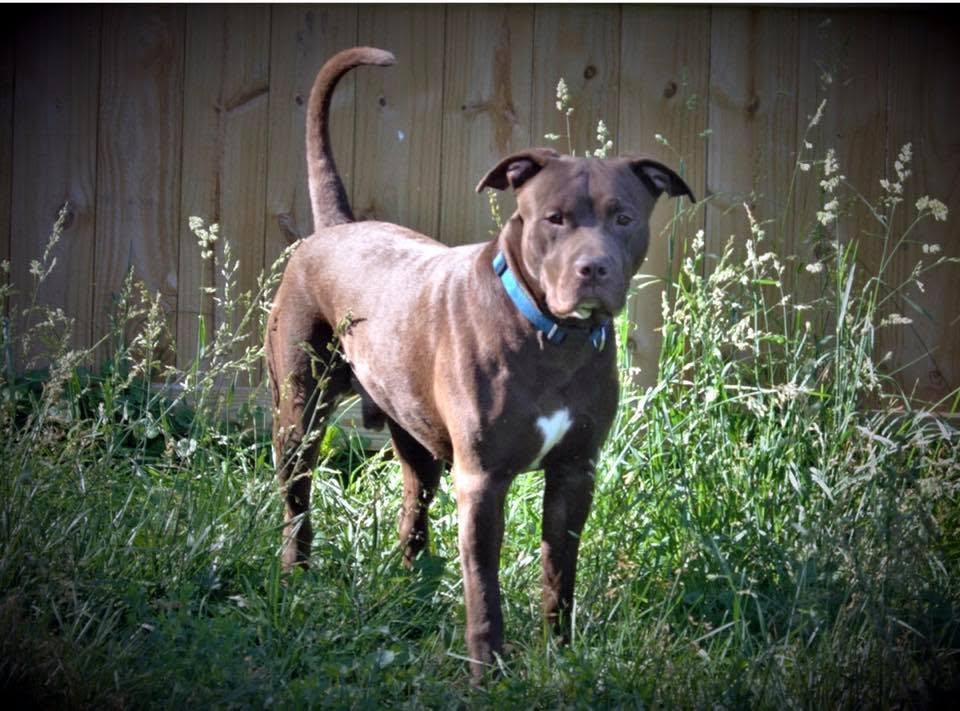 Zeus
